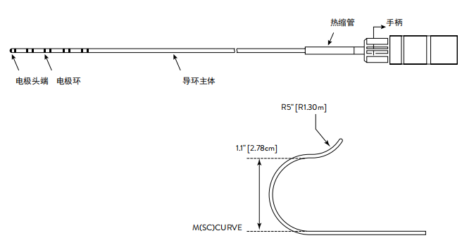 固定弯电生理诊断导管(十极)