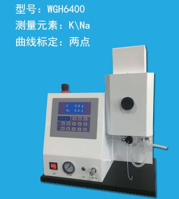 昶析 火焰光度计 WGH6400