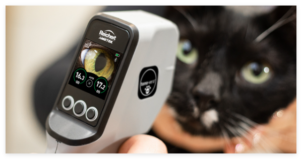 动物眼压计小动物眼压兽医眼压计美国Reichert Tono-Vera Vet回弹动物眼压计可测犬猫马兔