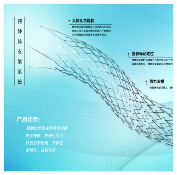 天鸿盛捷 髂静脉支架系统 VM-SS-10-060-D08