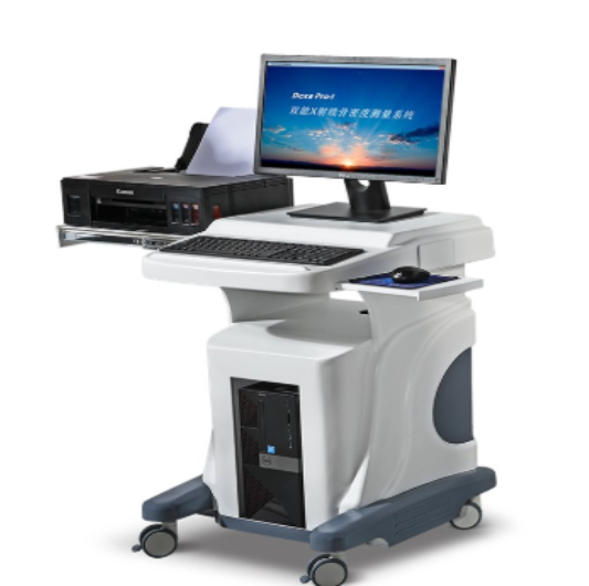 骨密度仪prodigy pro compact