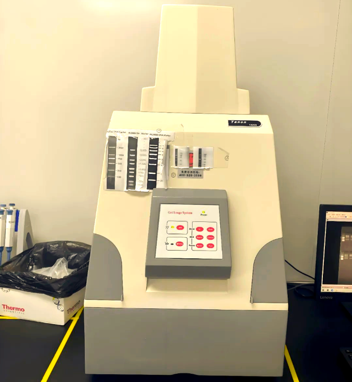 全自动凝胶电泳分析仪
