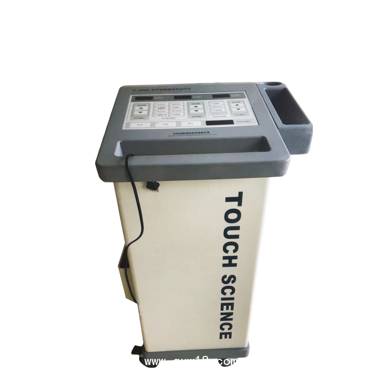 低频脉冲综合治疗仪 TZ-CH300 型